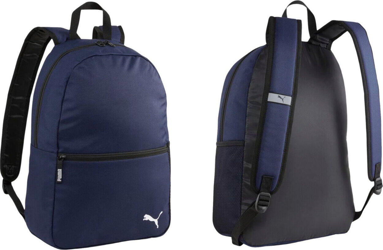 PUMA picture