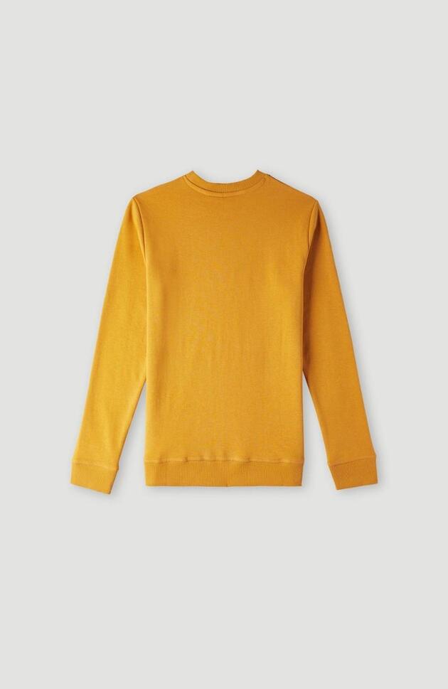 Bluza bawełniana dziecięca O'neill O'LOGO CREW