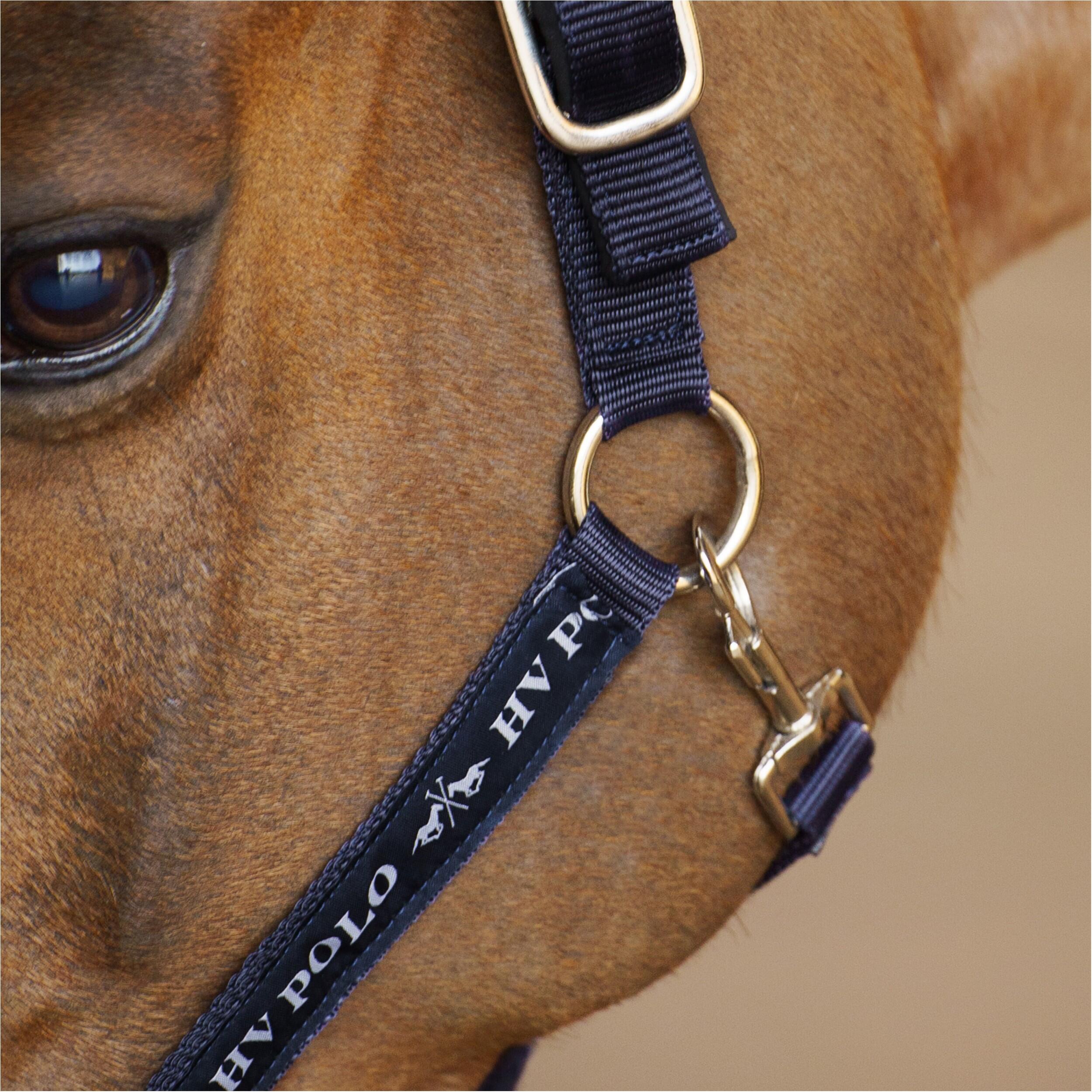 Licol pour cheval HV Polo Nena 3/5