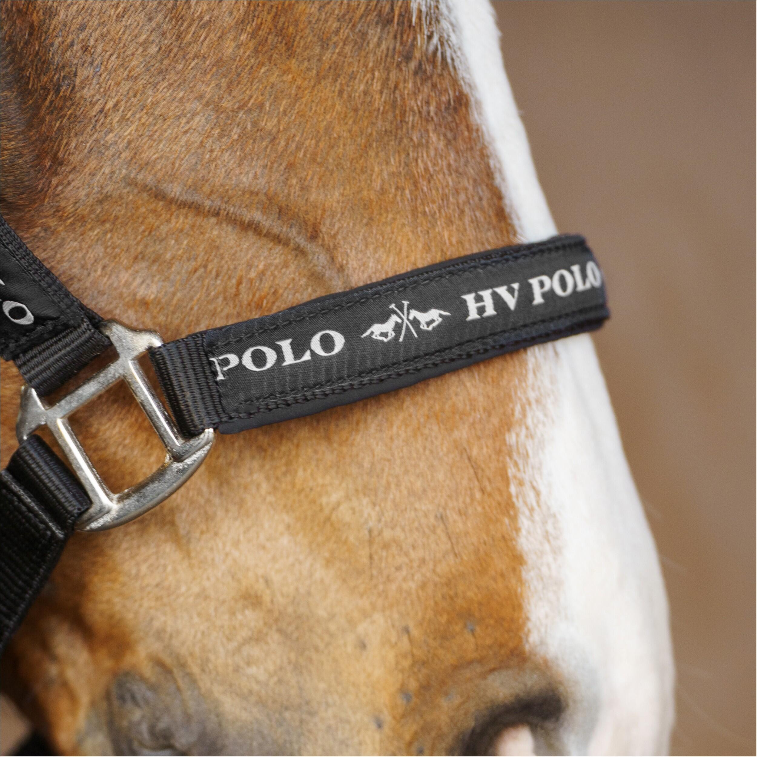 Licol pour cheval HV Polo Nena 3/5