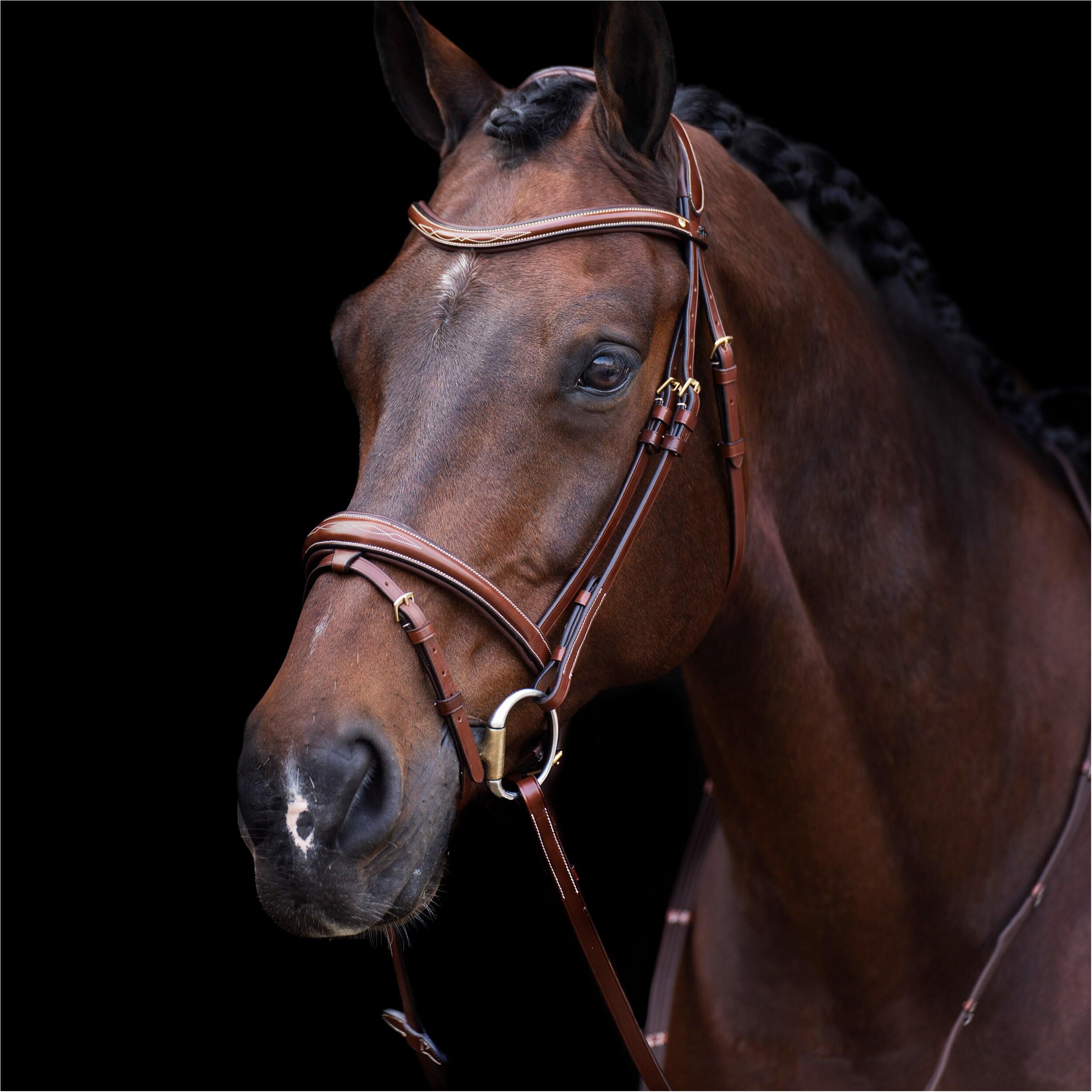 HV POLO picture