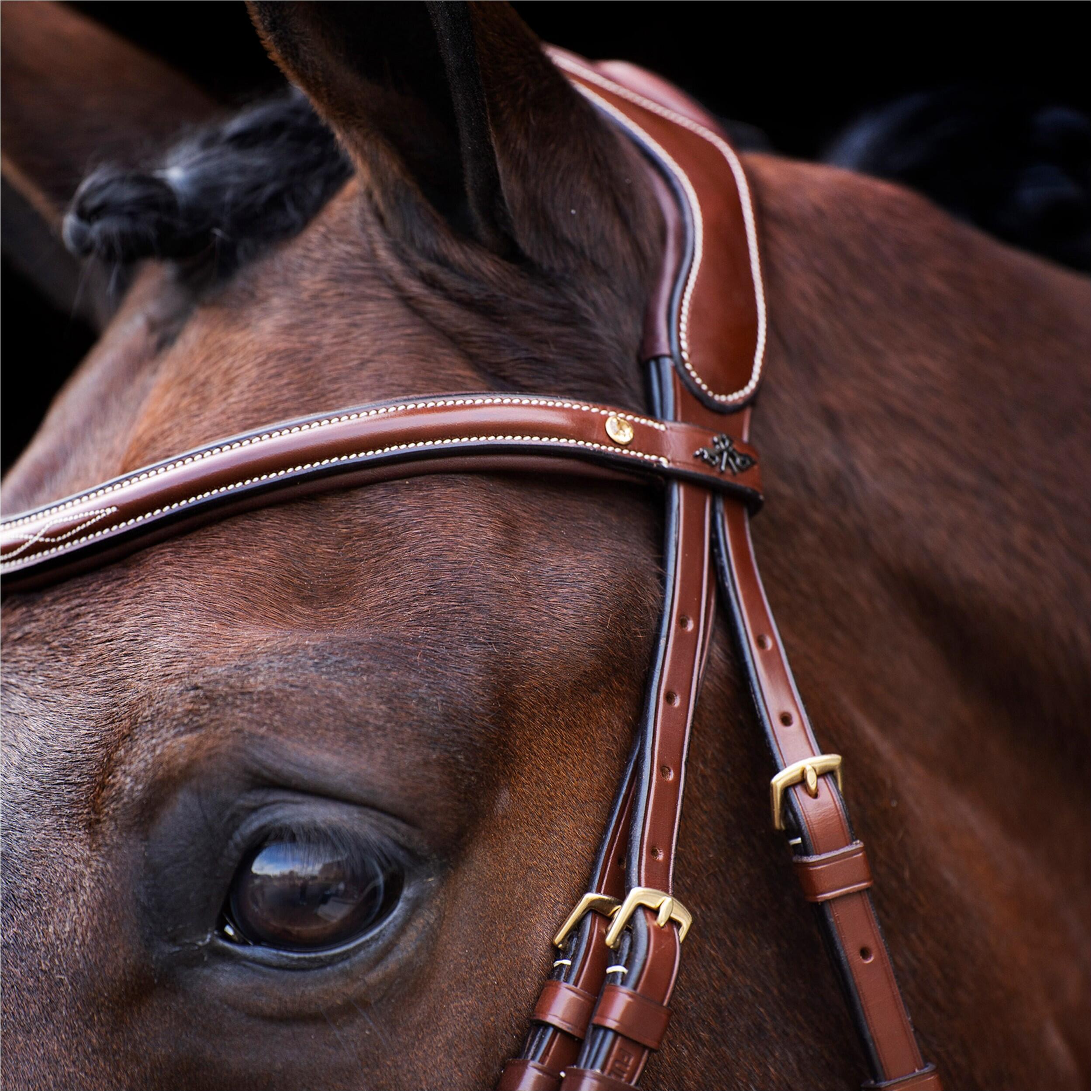 Gecombineerd hoofdstel met neusriem HV Polo Legacy 2/4