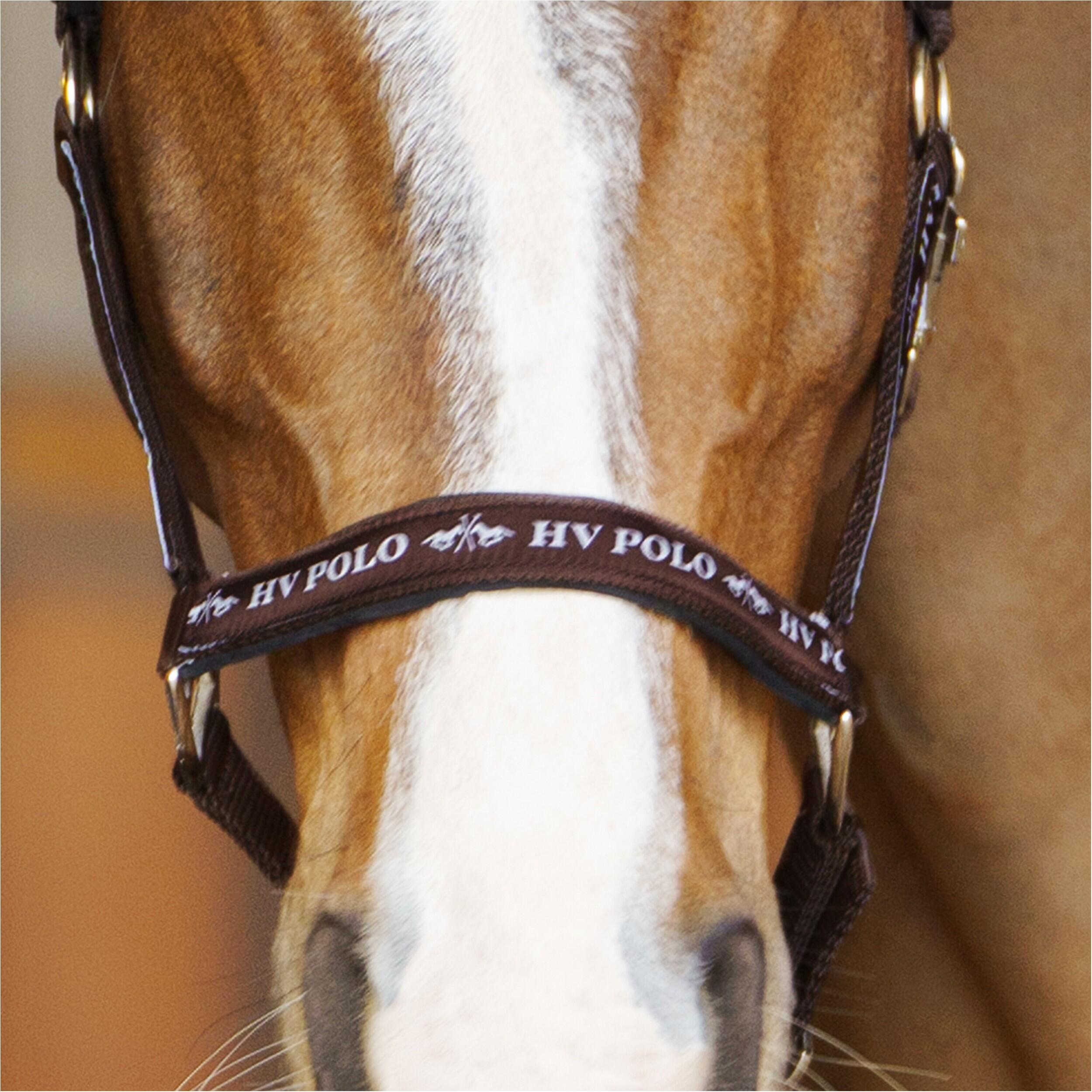 Capezza cavallo HV Polo Nena 3/5