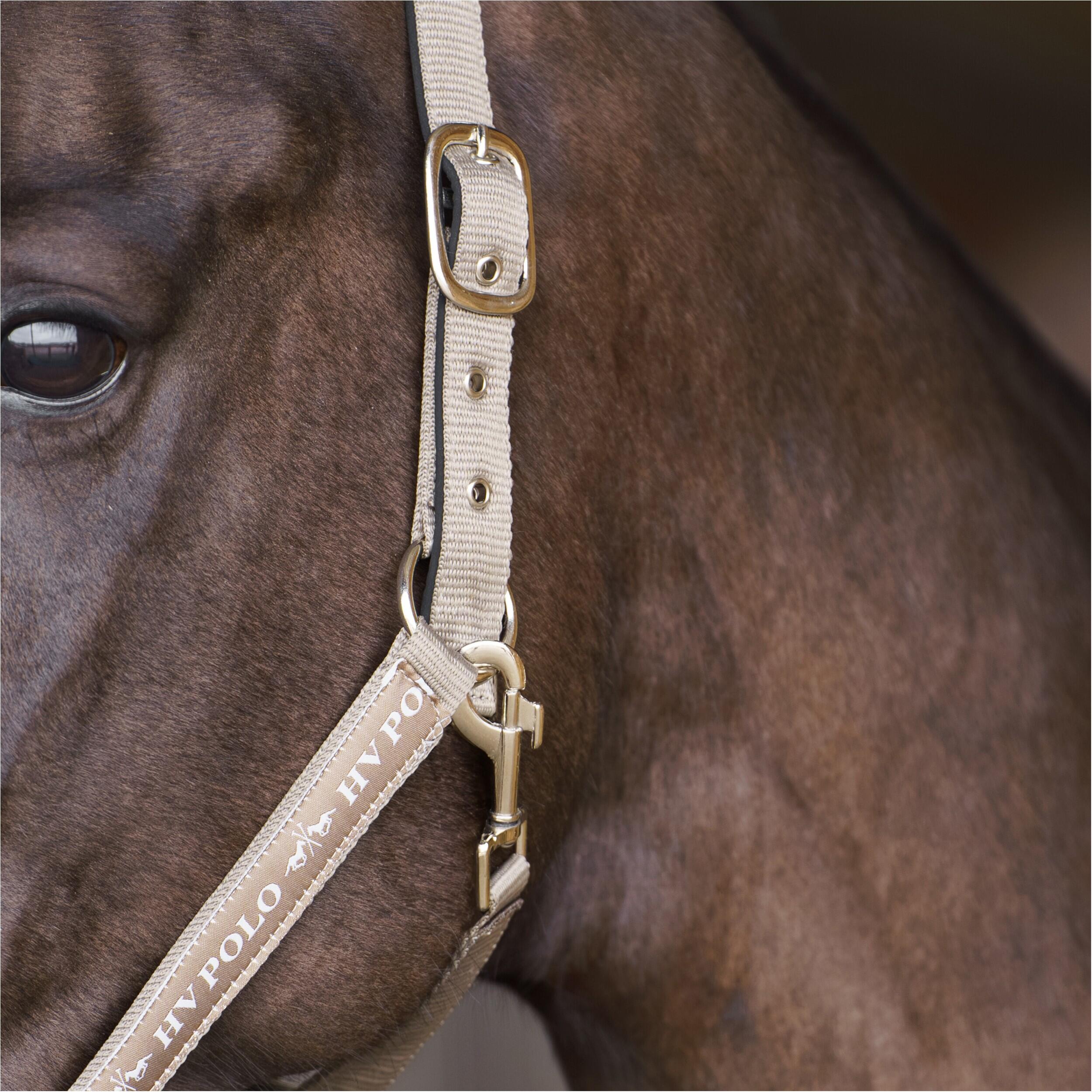 Nylon horse halter HV Polo Nena 3/3