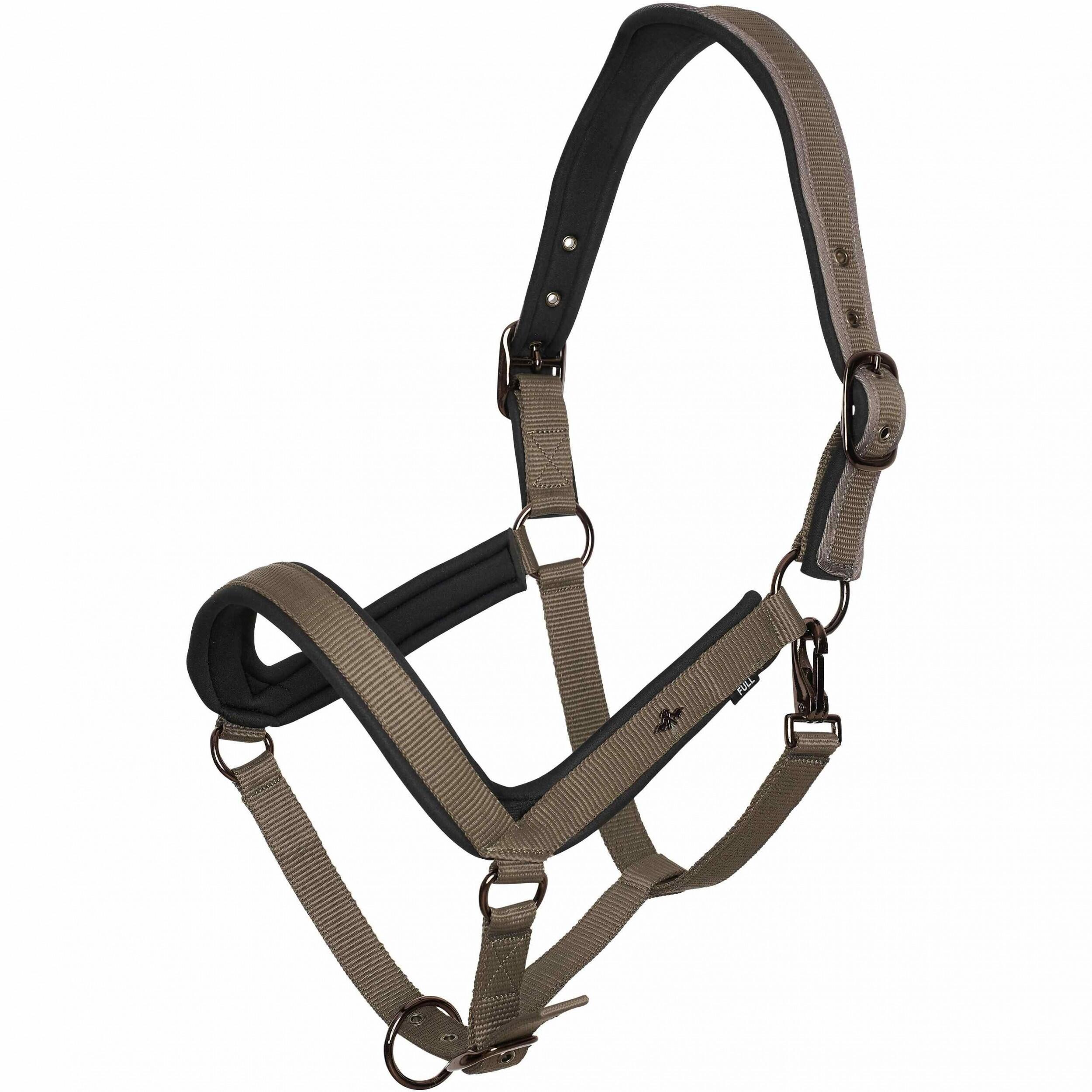 HV POLO picture