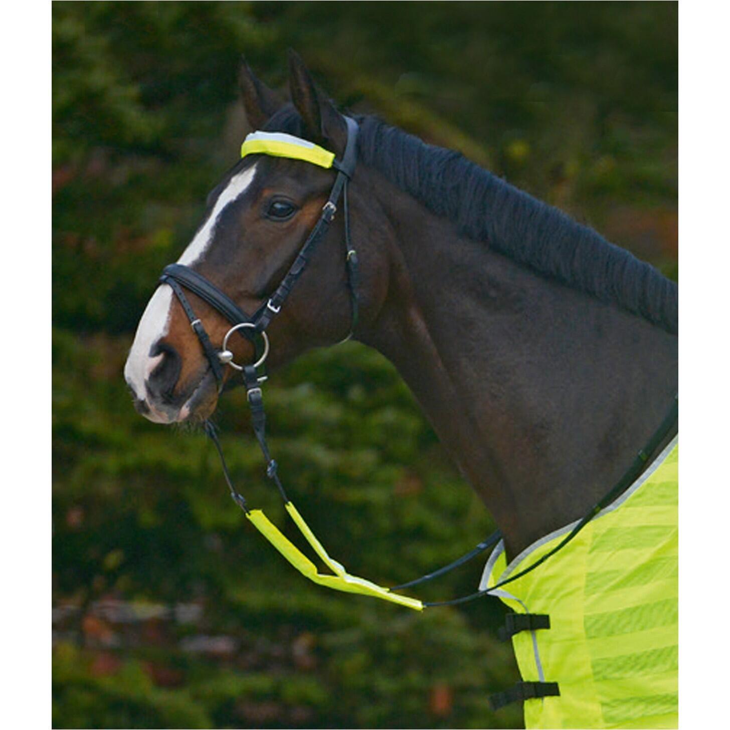 MARENGOS Trensenzaum-Set REFLEX neon gelb