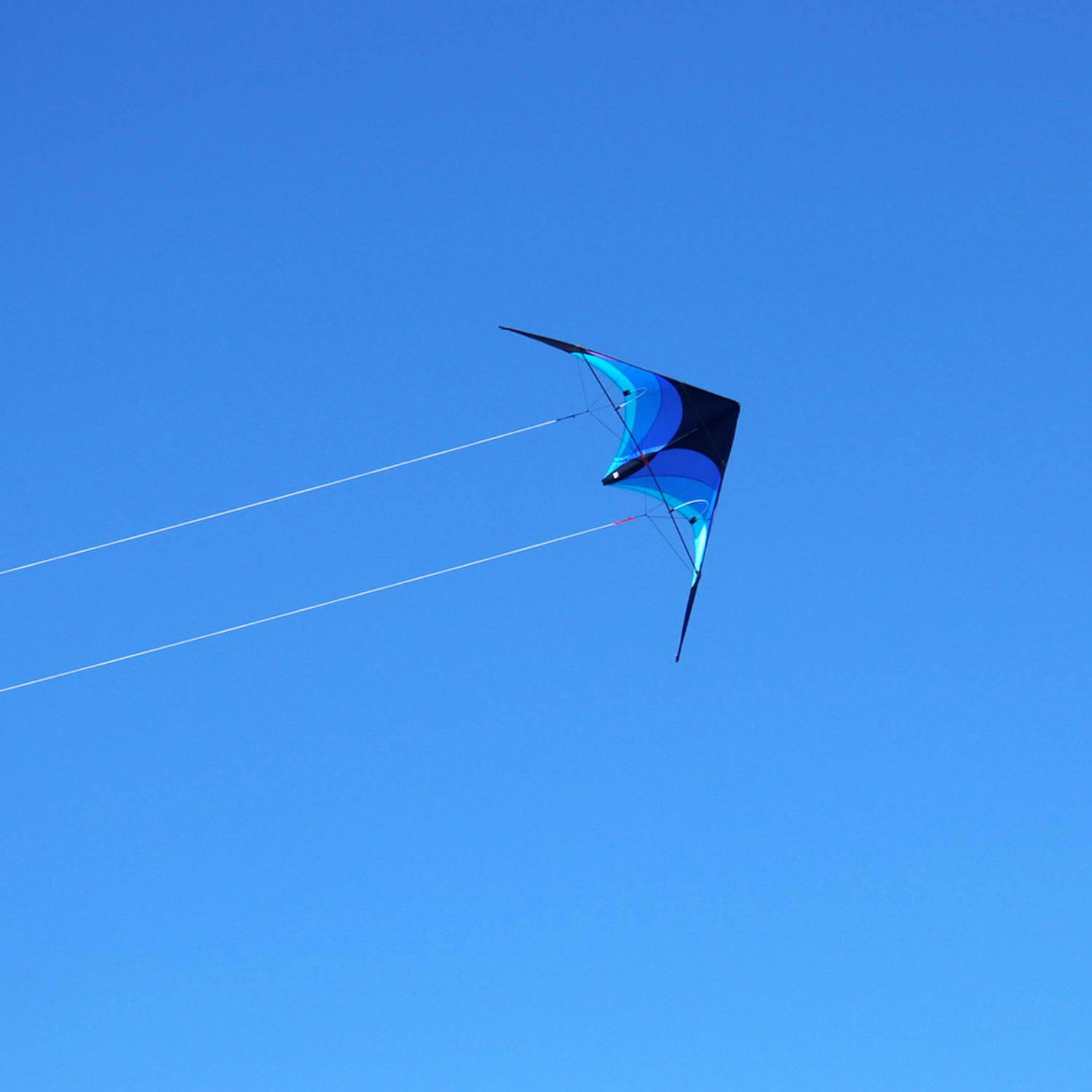Lenkdrachen Flip (blau) - flugfertig inkl. Schnüre und Lenkschlaufen 2/5