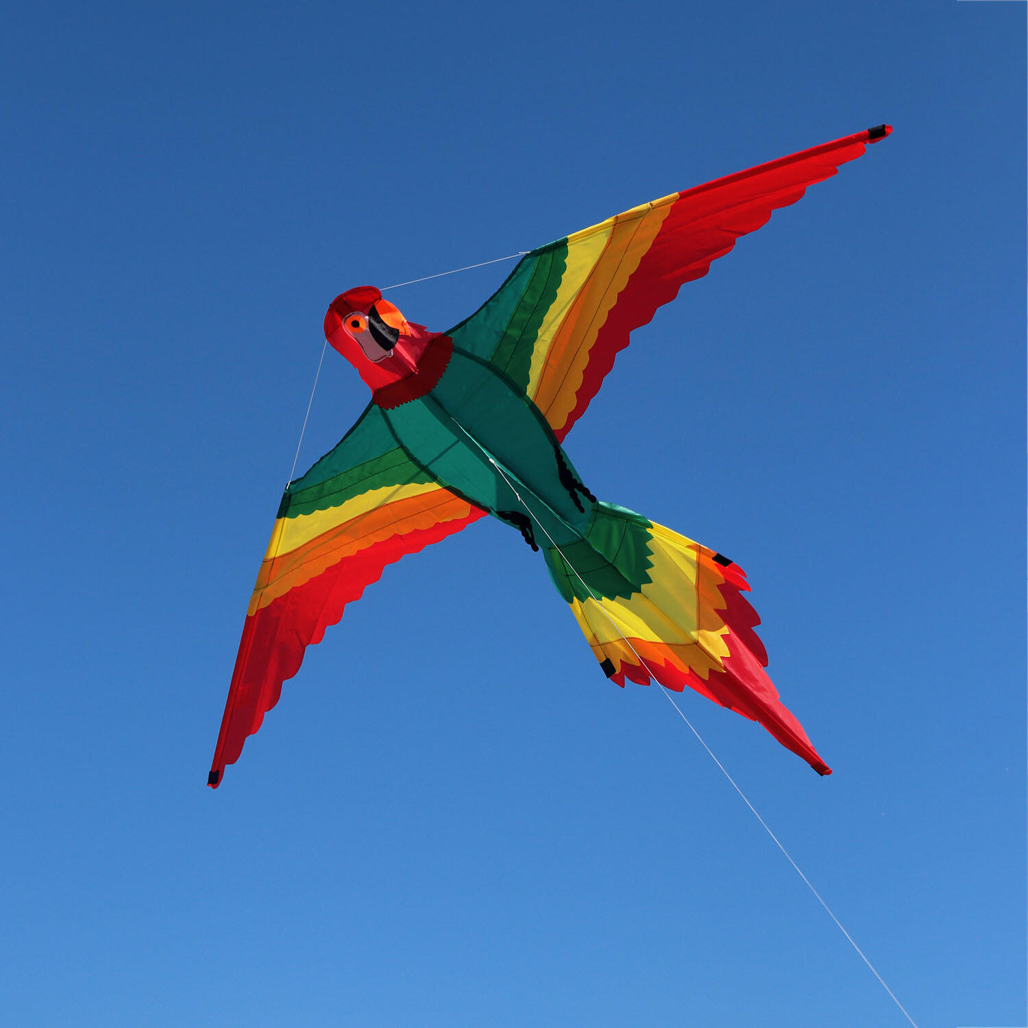Aquilone per bambini Cloud Sturmer Pablo Parrot 1121 Verde 160 x 120 cm 2/4