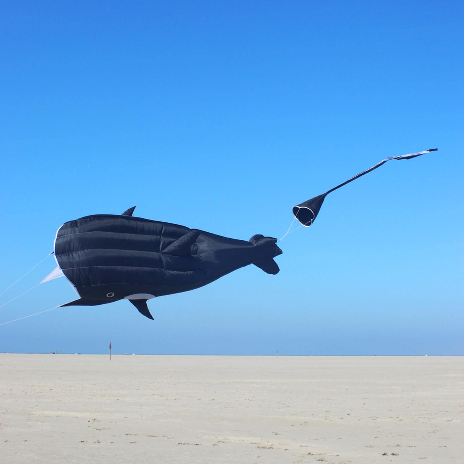 Einleinerdrachen Willi the Whale (schwarz-weiß) - flugfertig inkl. Spule, Schnur 2/7