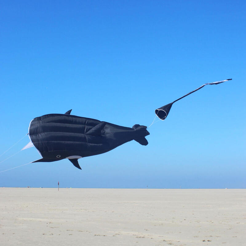 Zmeu cu fir simplu Wolkensturmer Willi the Whale 160830 Negru 140 x 210 cm