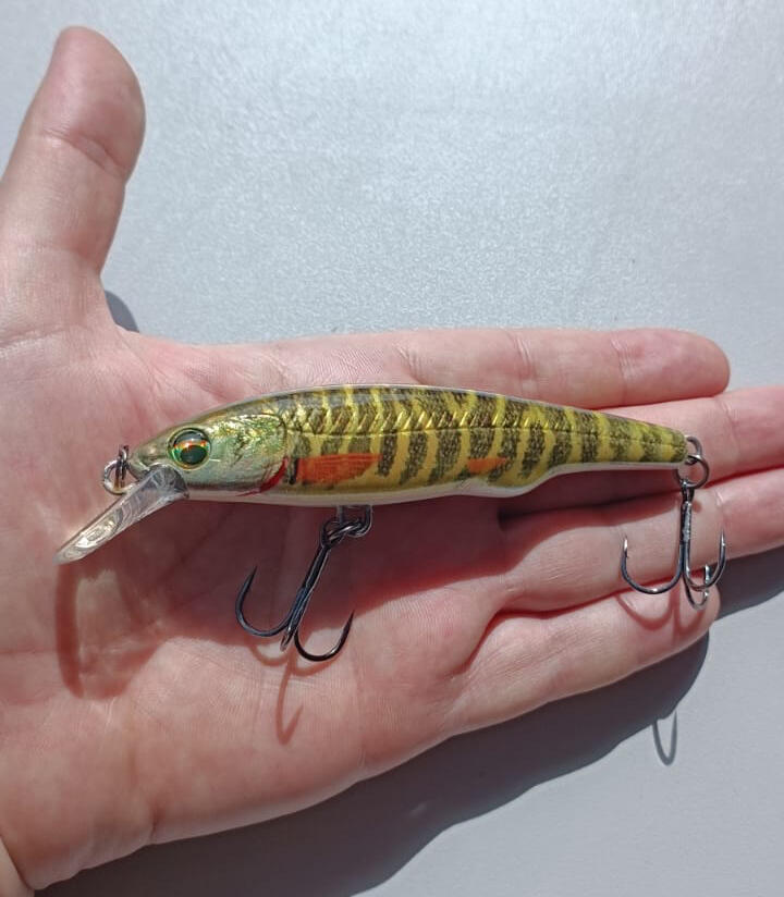 Savage Gear Gravity Twitch SR - Poisson nageur 11,5 cm, 25 g, pour brochet 2/2