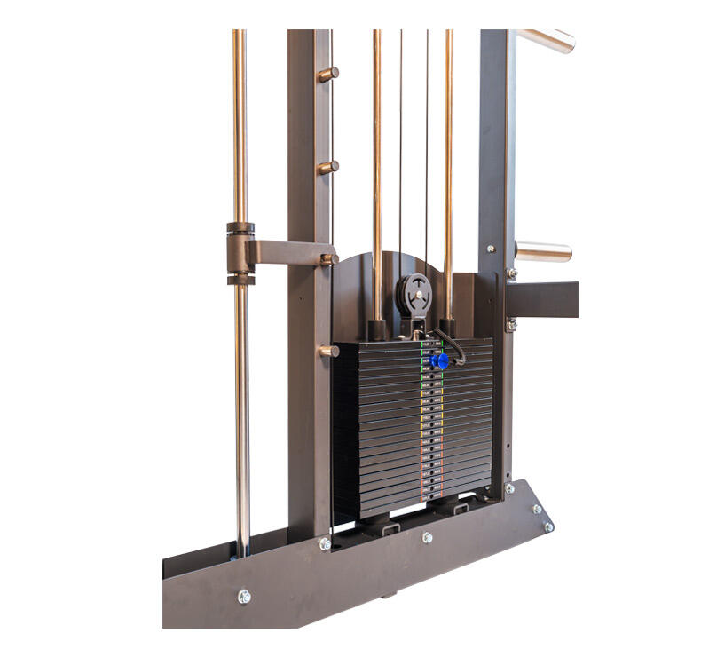 Multistation Smith IF1100 - Tour à plaques de 200 kg - Design Le Plus Compact 5/8