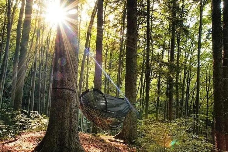 Hammak DD Hammocks Frontline XL kamuflaż 3 x 1.8 m 6/6