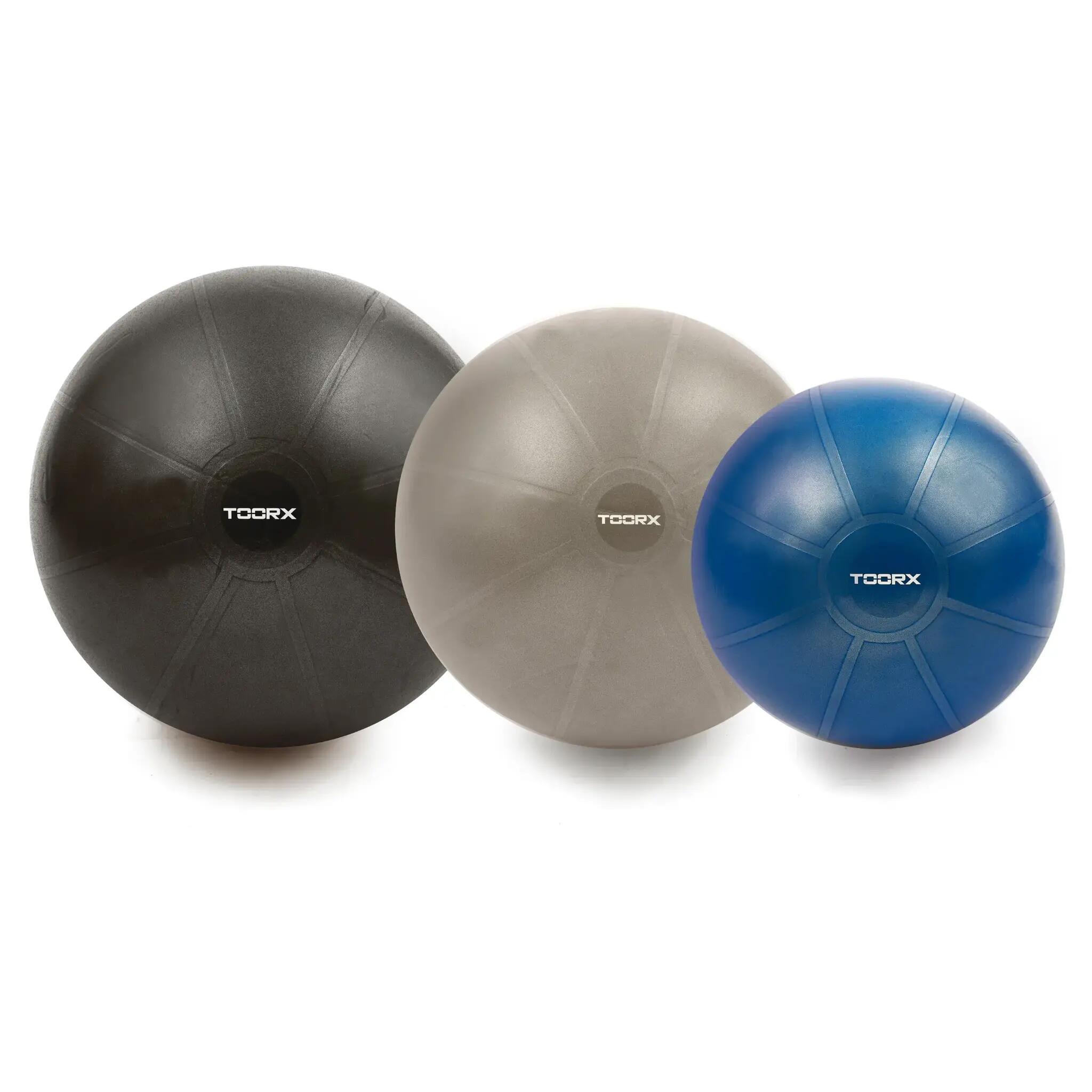 Toorx - Ballon De Gymnastique Pro - 500 Kg - Ballon De Fitness - Ballon Assis - 65 Cm - - Swiss Ball - Gris - Taille Unique - Decathlon