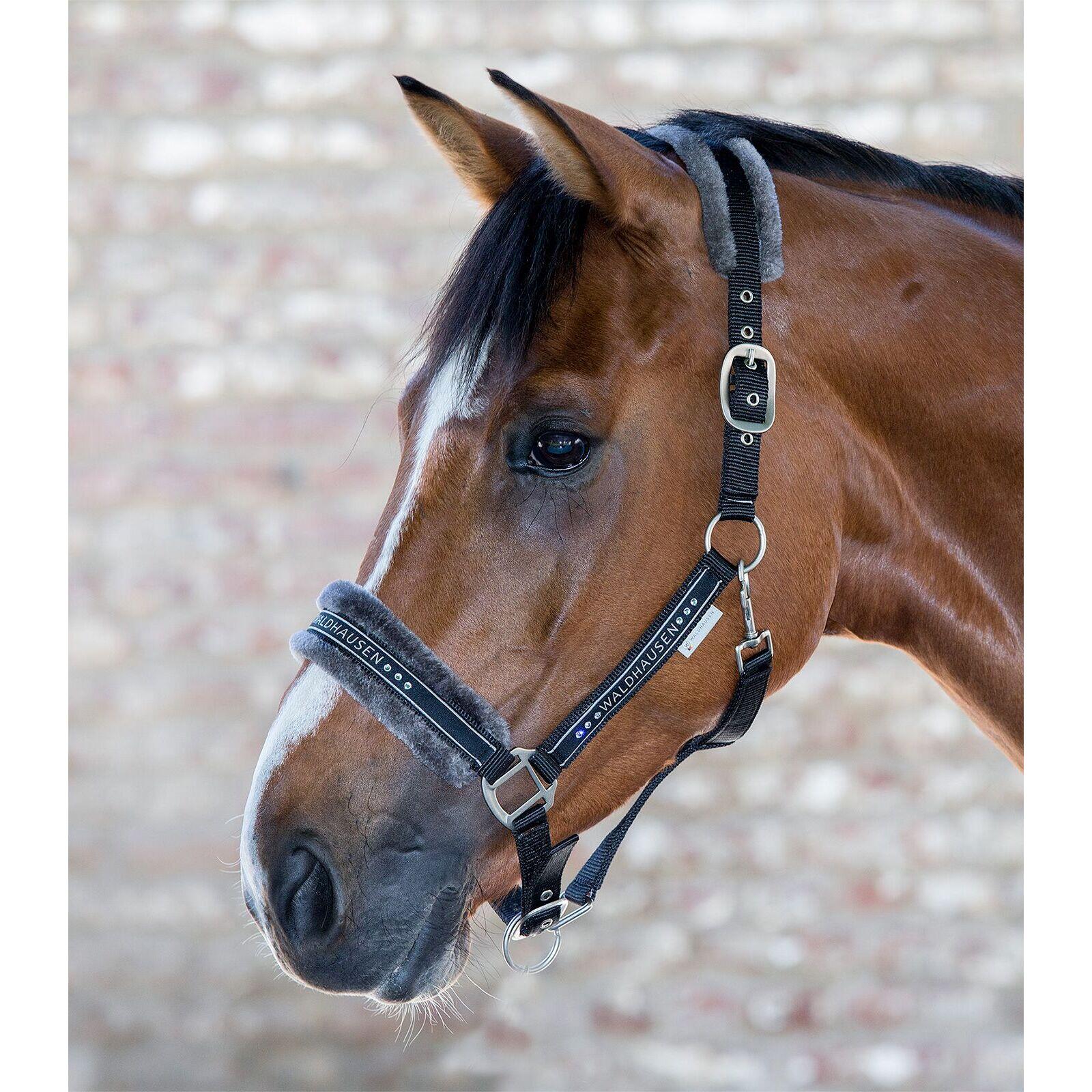 Licol pour cheval avec fourrure Waldhausen Elegant 2/2