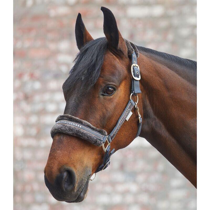 Licol pour cheval avec fourrure Waldhausen Elegant 2/2
