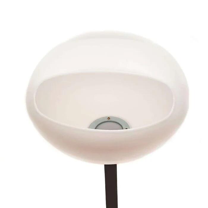 Magnesera Profesional Para Magnesio En Polvo 2/3