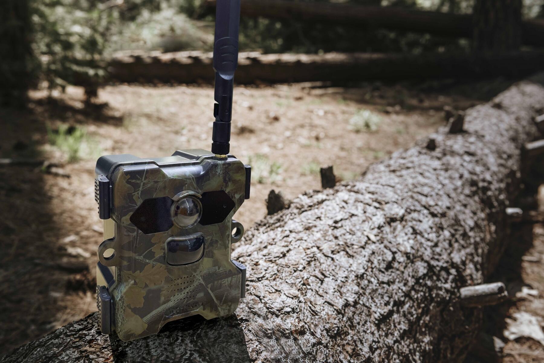 Technaxx 4G Wildcam TX-189 + Solar Panel 6/7
