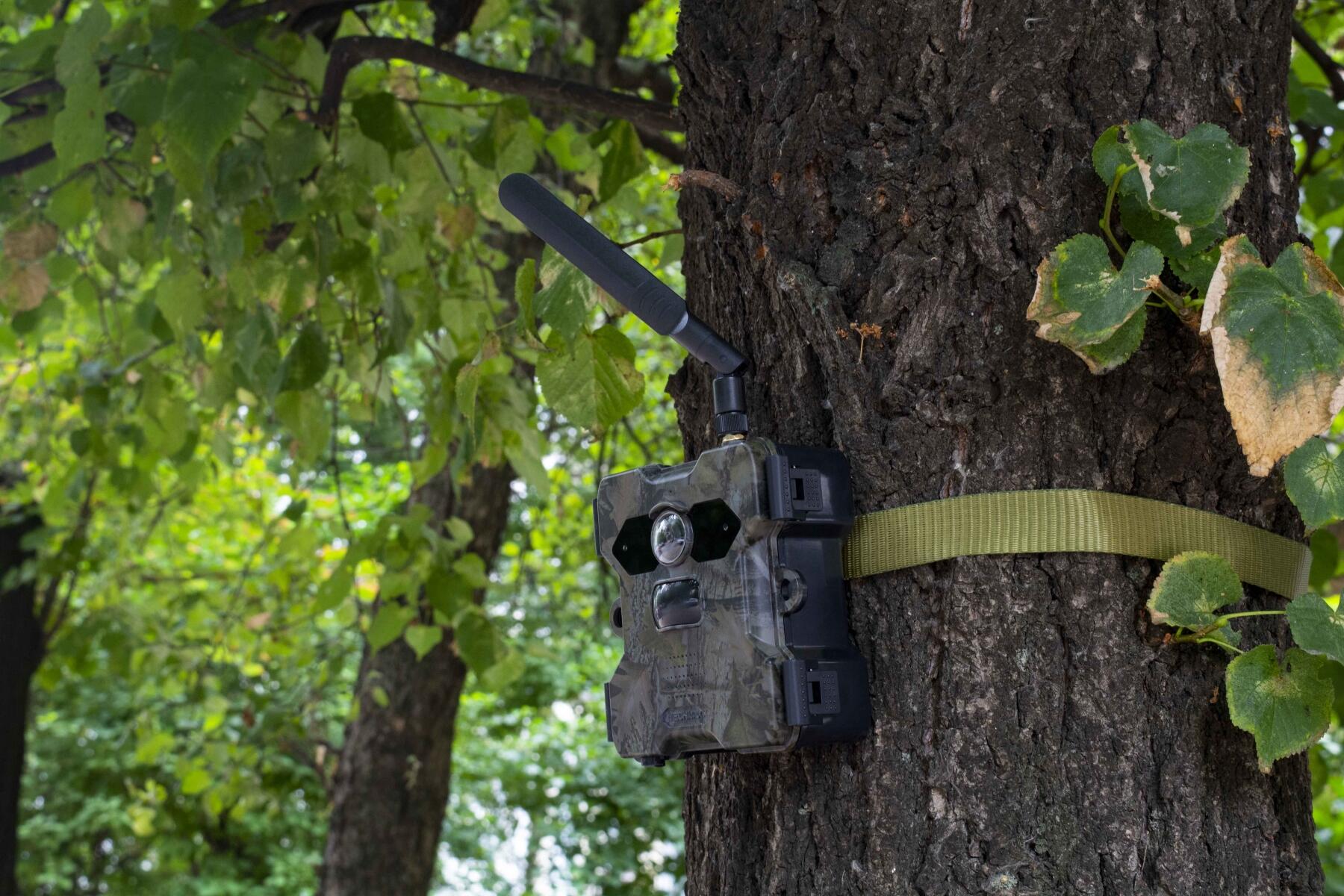 Technaxx 4G Wildcam TX-189 + Solar Panel 7/7