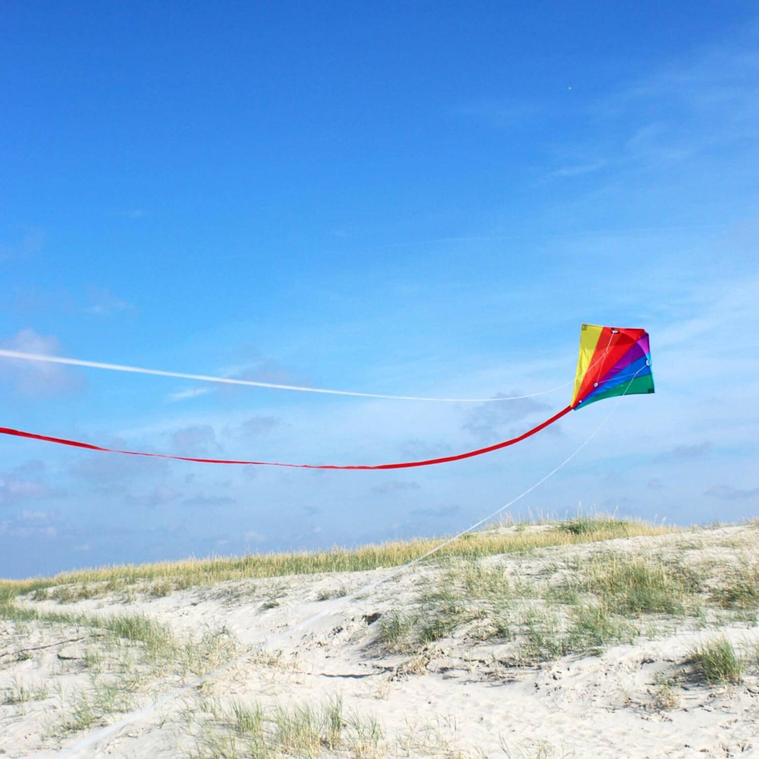 Lenkdrachen Racer Regenbogen (bunt) - flugfertig inkl. Schnur und Zubehör 4/5
