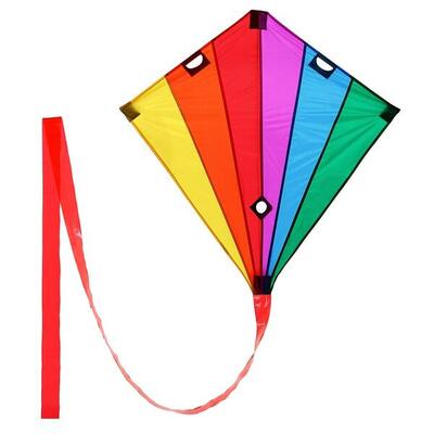 Lenkdrachen Racer Regenbogen (bunt) - flugfertig inkl. Schnur und Zubehör