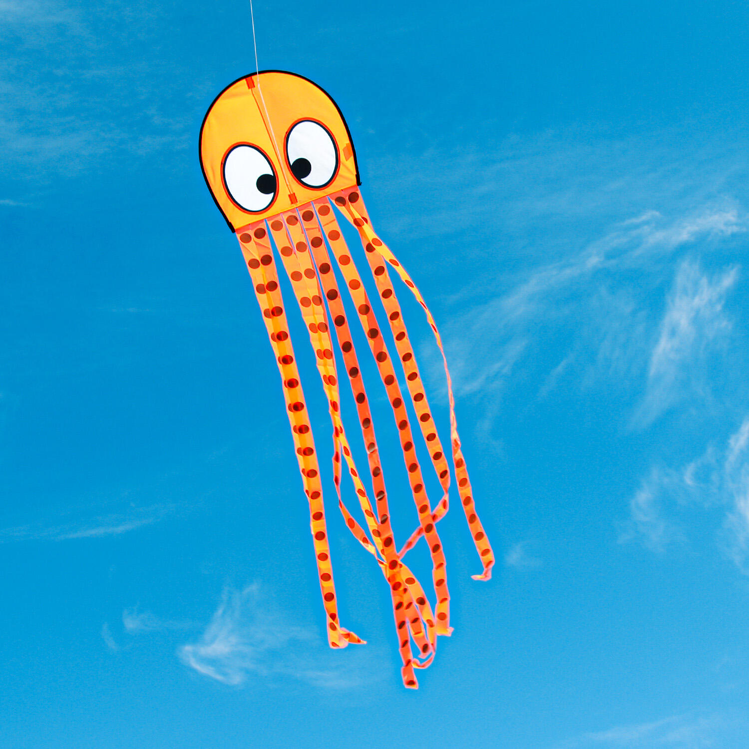 Cometa infantil Wolkensturmer Olli Pulpo 1167 Naranja 50 x 200 cm 7/7