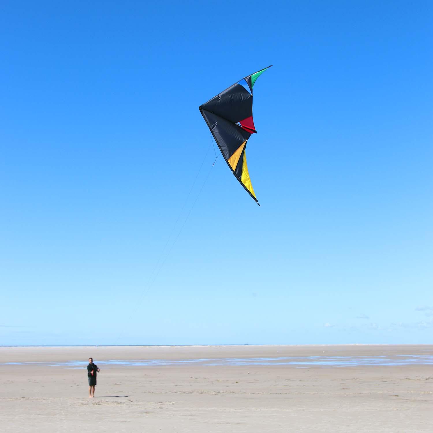 Papagaio de atordoamento Wolkensturmer Skydart Preto 1335 Preto 175 x 82 cm 4/7