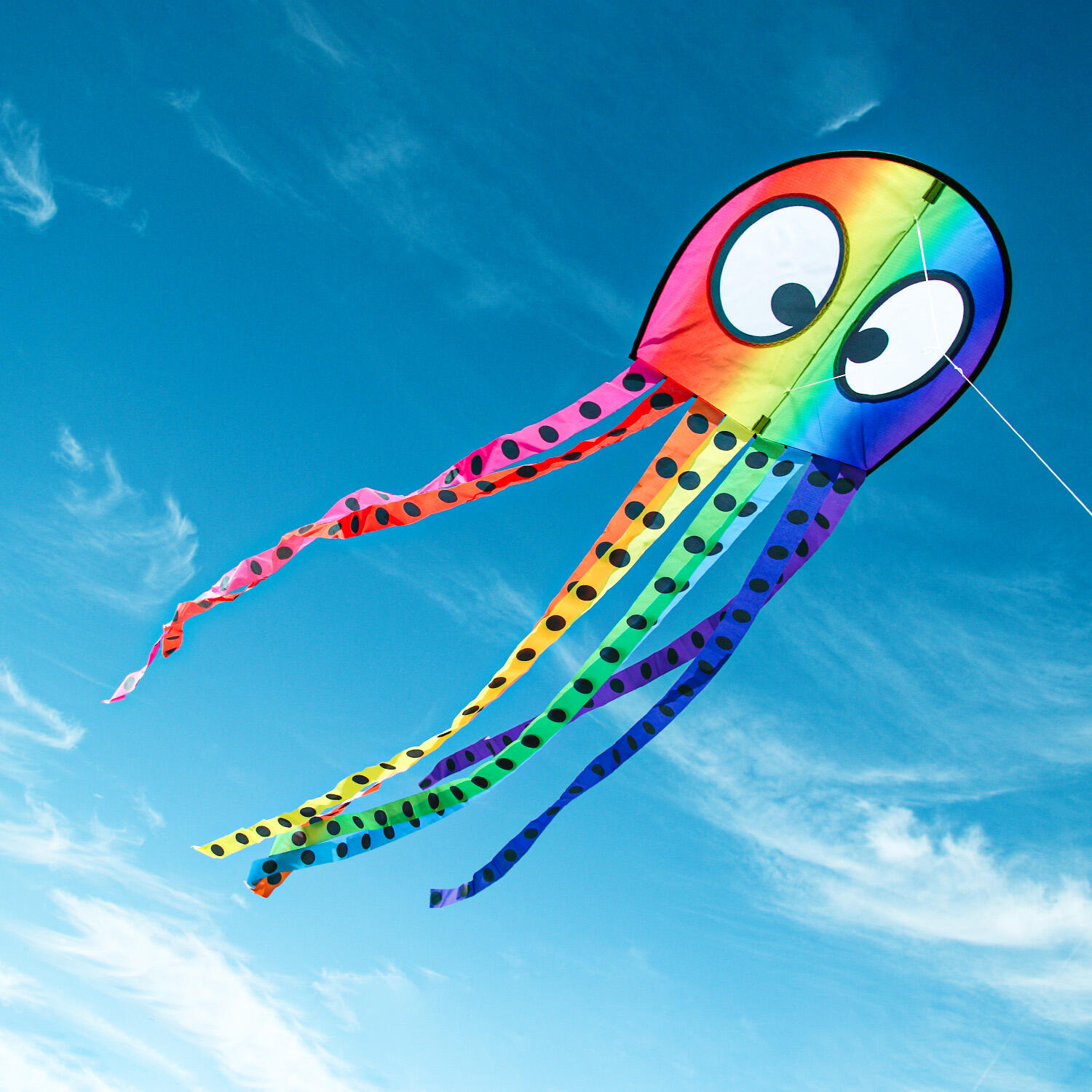 Kinderdrachen Olli Oktopus (regenbogen), Einleiner - flugfertig inkl. Schnur 6/7