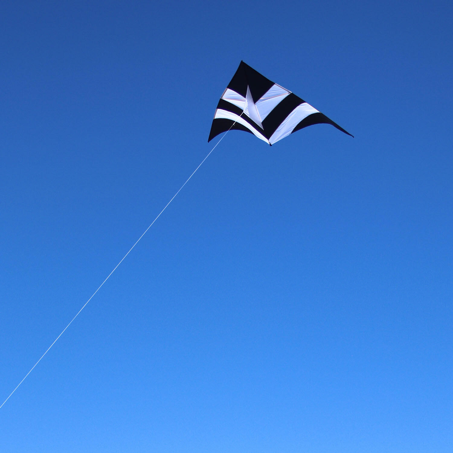 Einleinerdrachen Delta Black & White (schwarz-weiß) - flugfertig inkl. Schnur 3/4