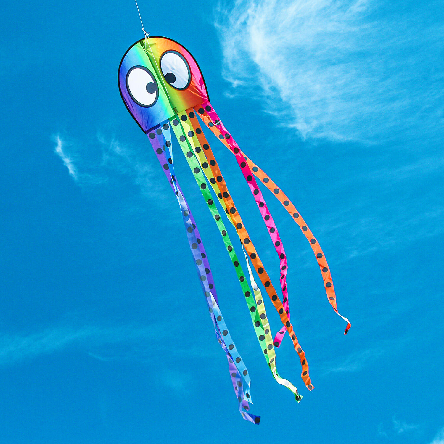 Kinderdrachen Olli Oktopus (regenbogen), Einleiner - flugfertig inkl. Schnur 5/7