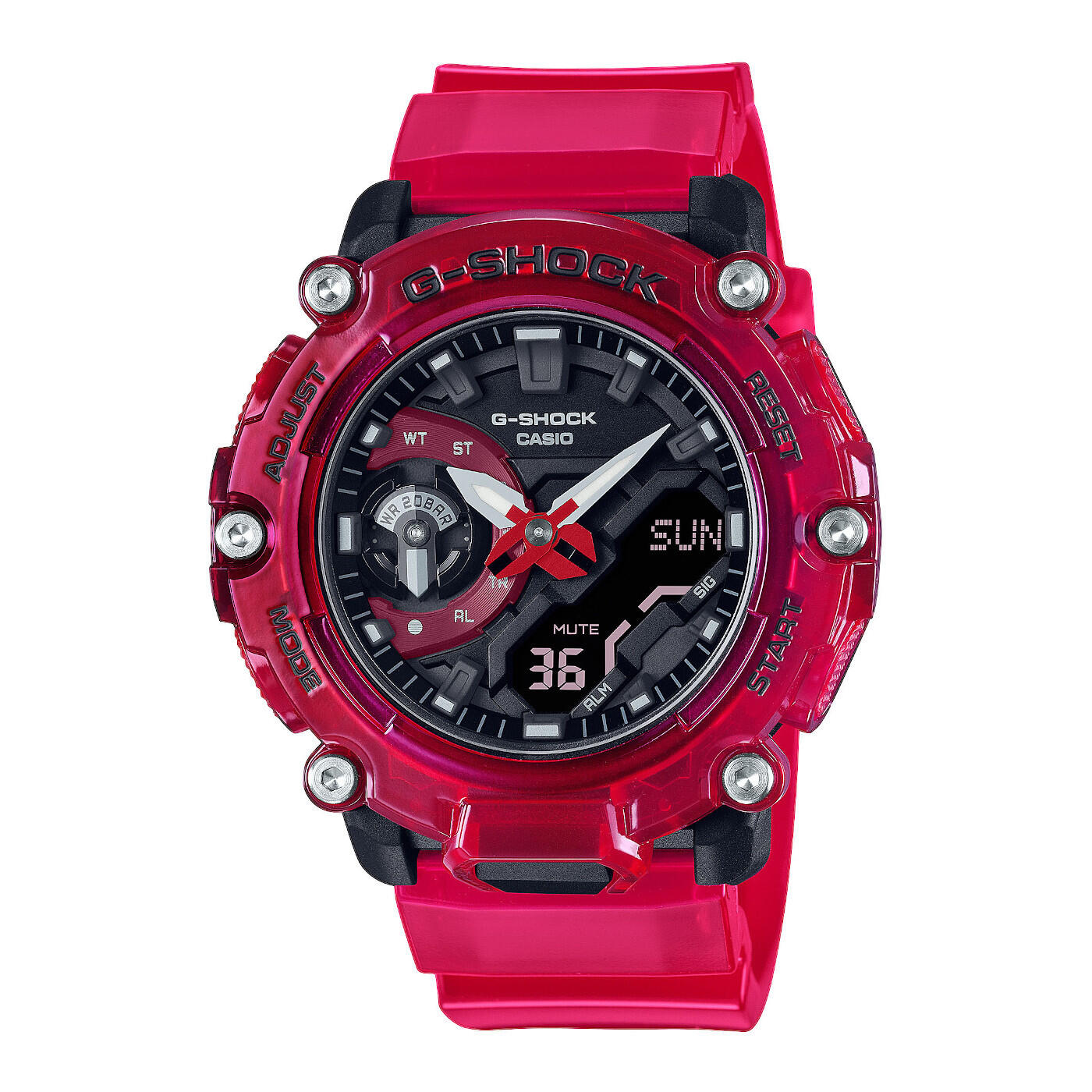 CASIO picture