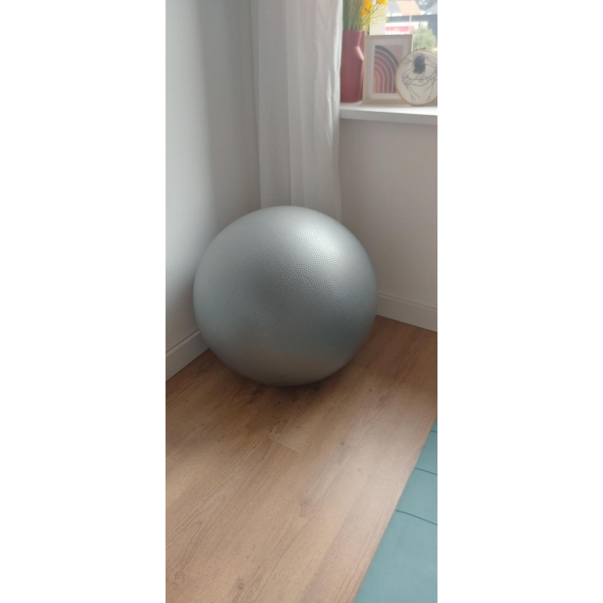 Entre Particuliers - Ballon de fitness domyos