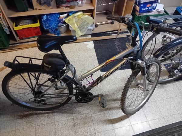 Entre Particuliers Vélo Diamond gris DIAMOND LINE Decathlon