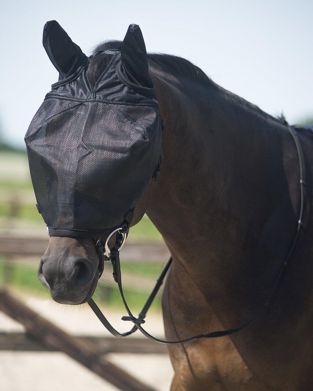 QHP Rij Vliegenmasker met Oren - Zwart - Maat Pony 2/2
