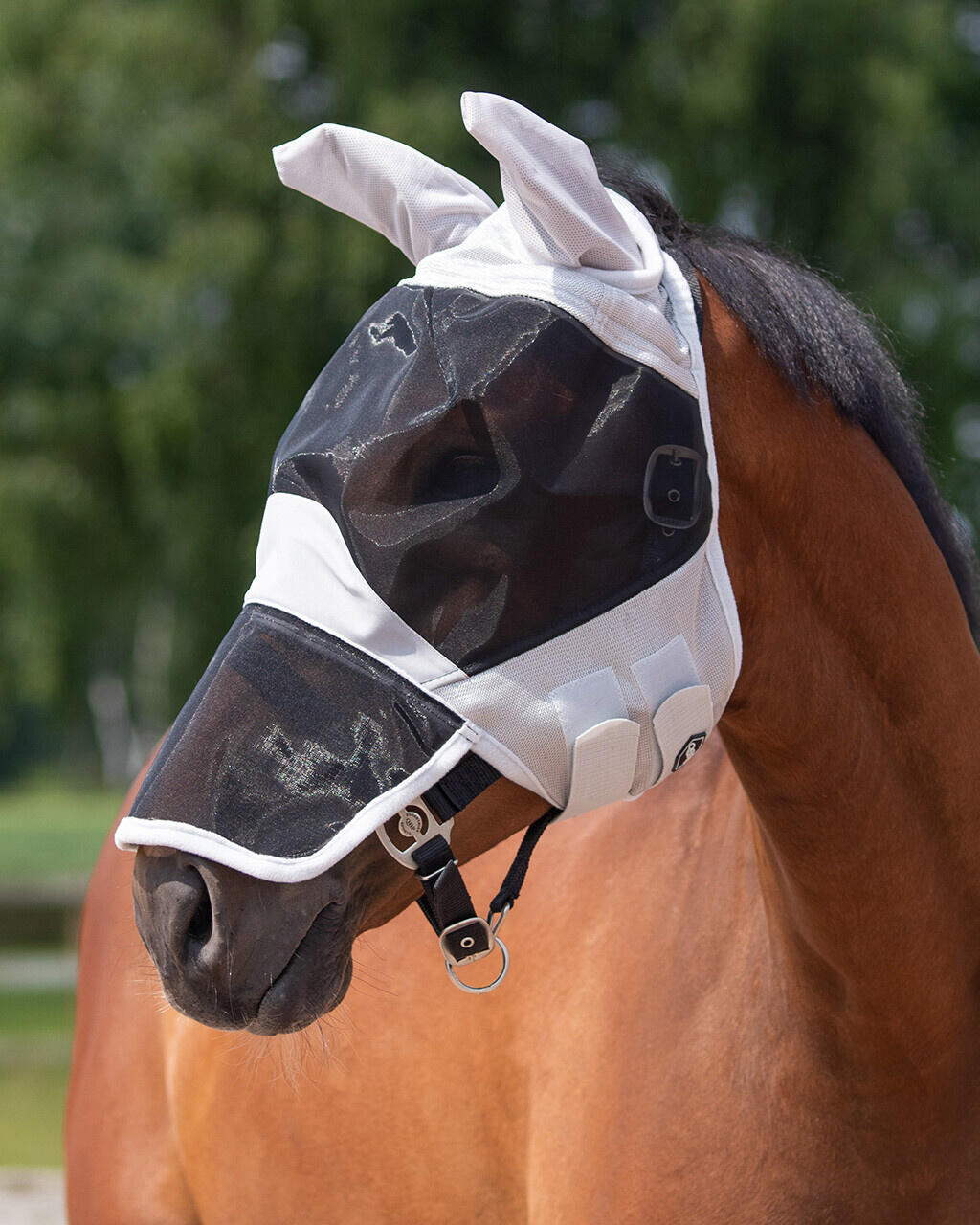 QHP Vliegenkap Solaire (Pony) 1/3
