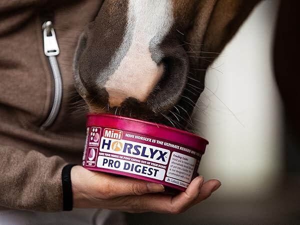 Horslyx Pro Digest Balancer Mini - 650 gram 2/3