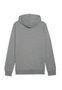Felpa con cappuccio Puma Teamgoal Casuals 6/7