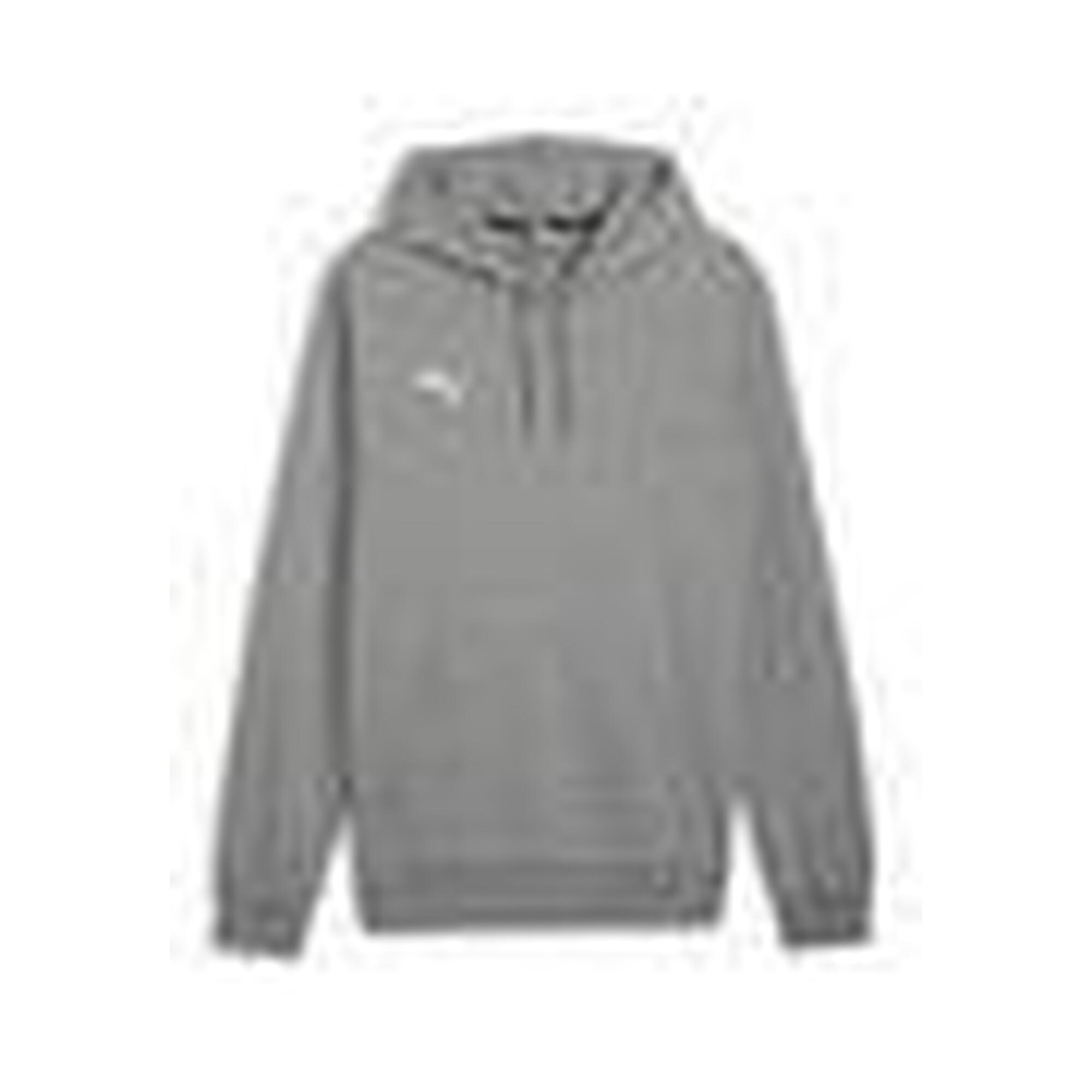 Hoodie Puma Teamgoal Casuals