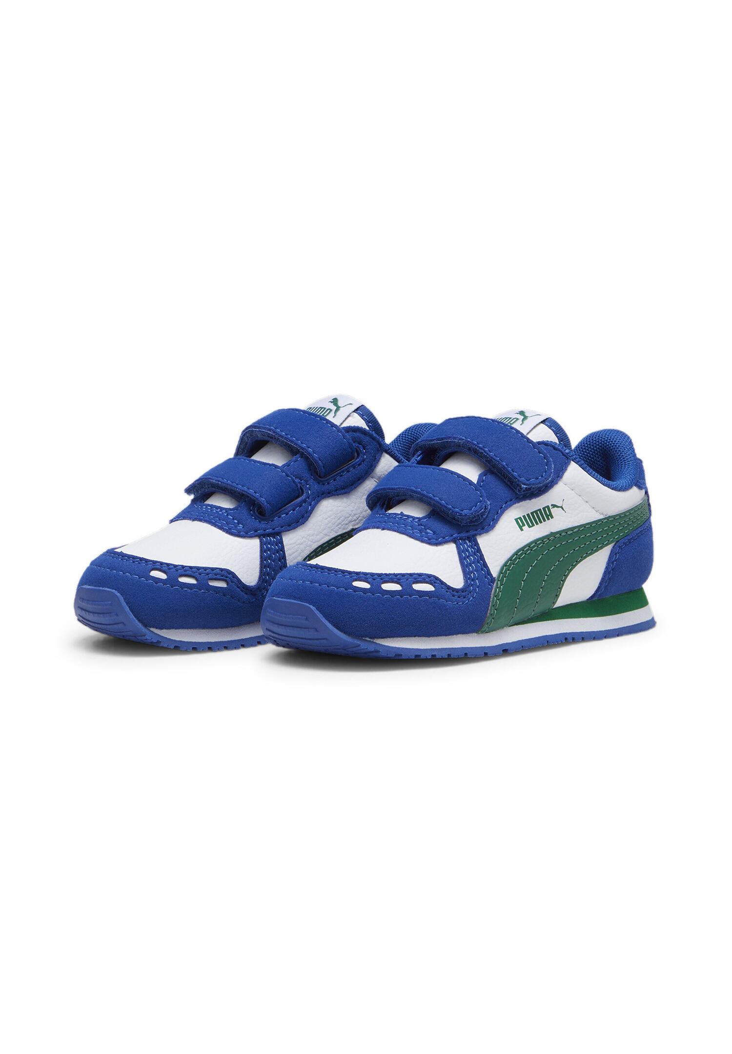 PUMA picture