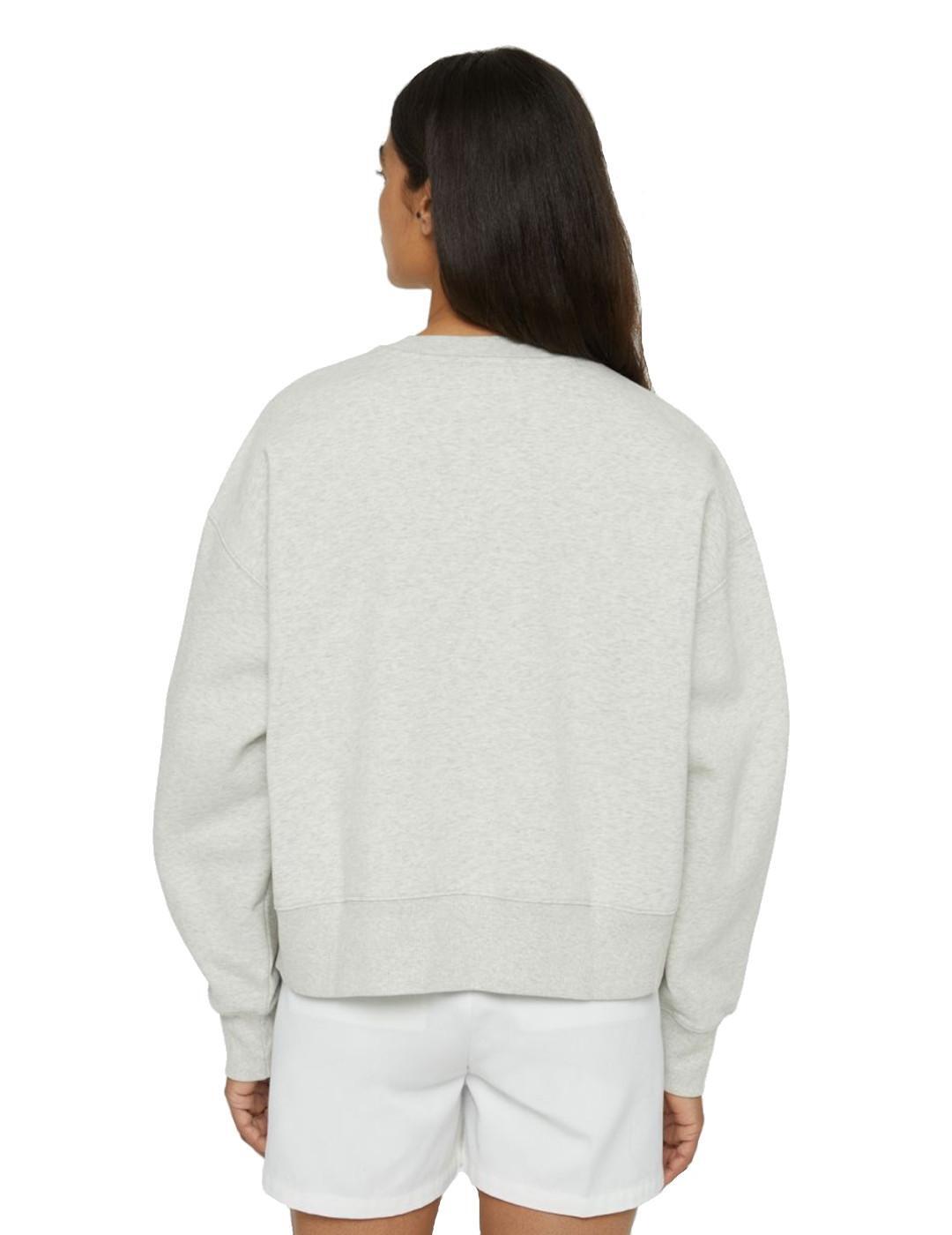 Jersey y sudadera para Hombre Dickies Summerdale light Gris 4/5