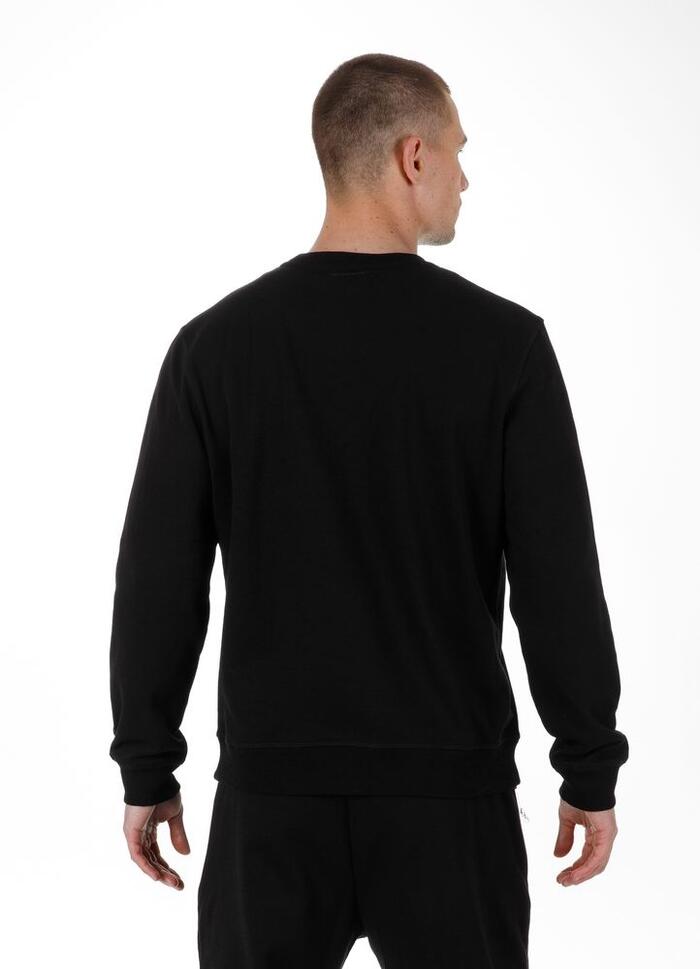 Bluza męska Pitbull Beyer