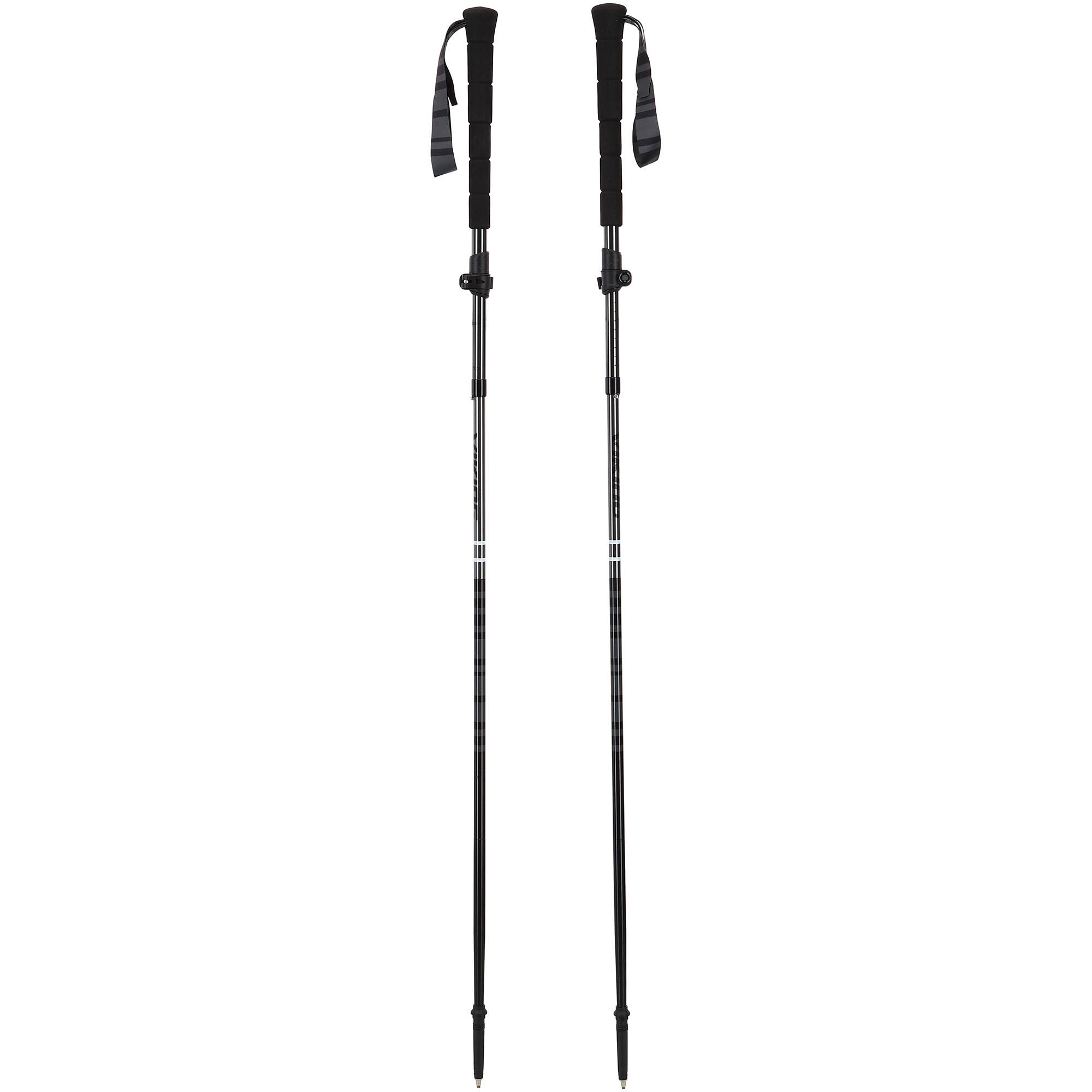 Bâton de randonnée Viking Kettera Pro 6/6