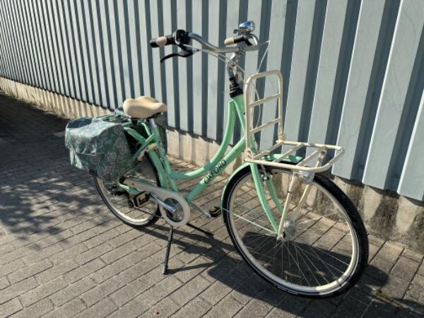 Tussen Particulieren - Oxford Fleur groen damesfiets