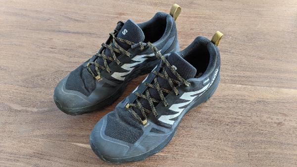 SALOMON picture