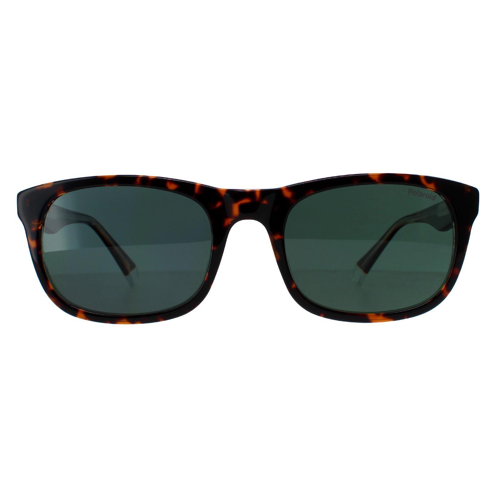 POLAROID Polaroid Rectangle Mens Havana Green Polarized Sunglasses