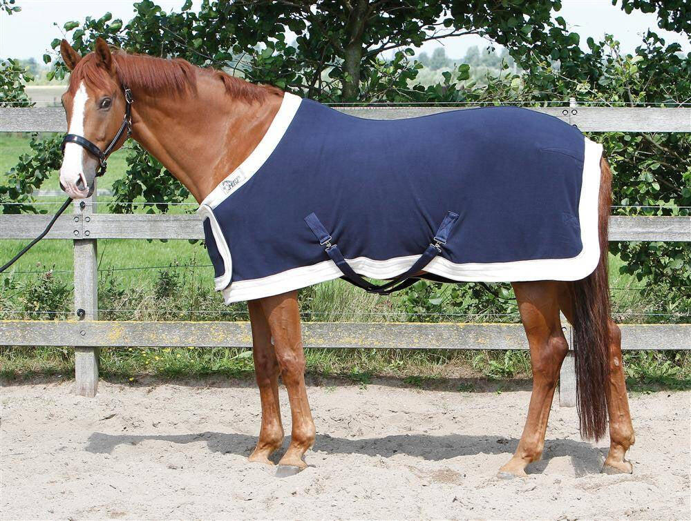 HARRYS HORSE picture