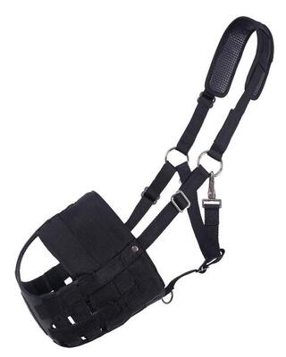 Capezza con museruola QHP