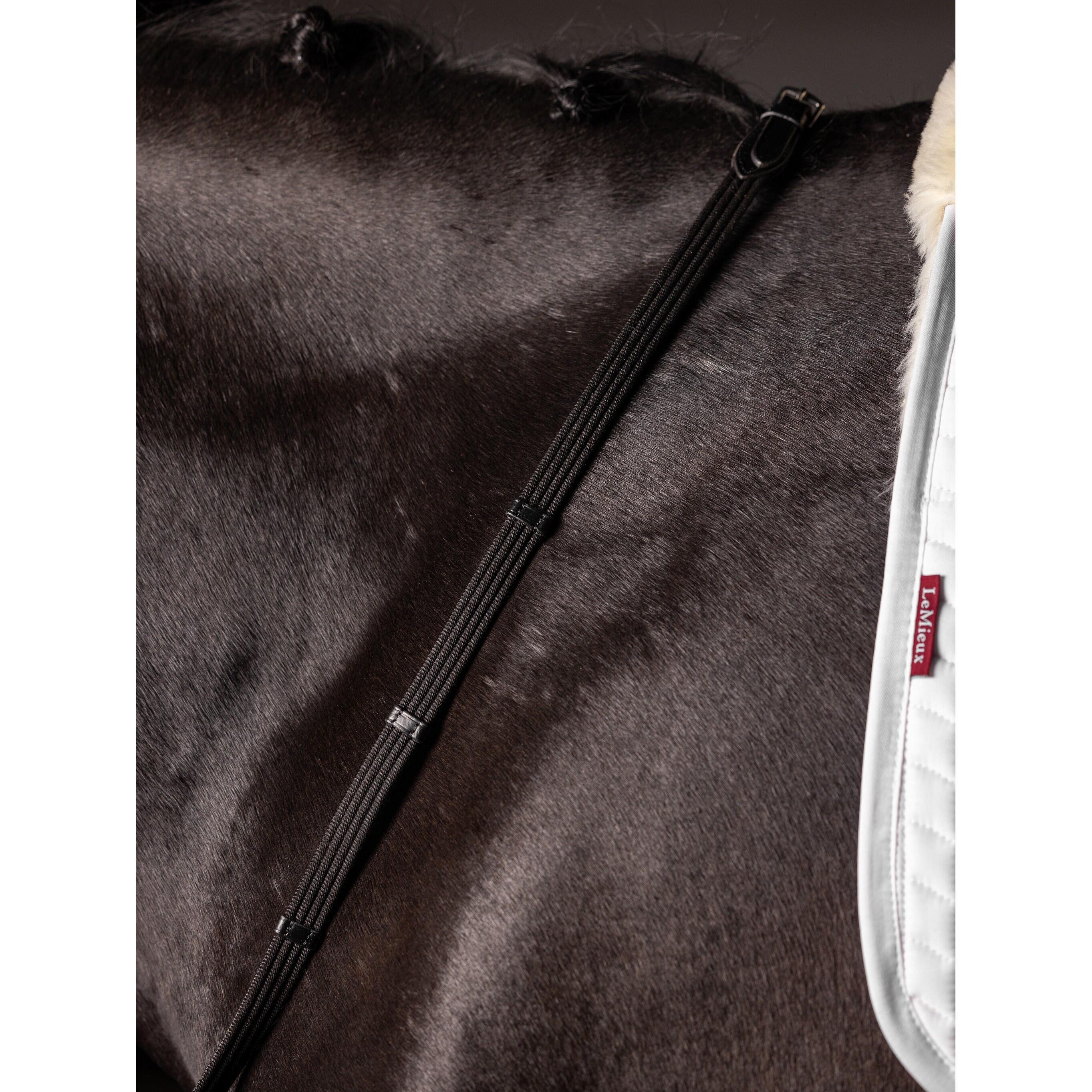 Teugels voor paarden LeMieux Continental 2/4