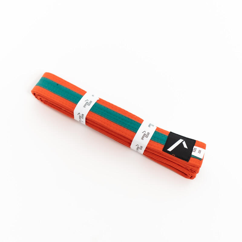 9ed94dcb-6838-4413-a26d-04552eb357a4_c255