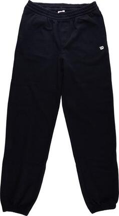 Spodnie dresowe dziecięce Wilson Youth Unisex Team Jogger